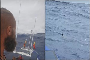 A. Mockus vandenyne sulaukė solidžios palydos: „Sekė iš galo lyg koks užhipnotizuotas prielipa“