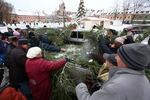 Kreipiasi į gyventojus, kurie dar neturi eglutės: už tai galite arba išvis nemokėti, arba vėliau atgauti dalį pinigų
