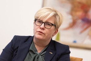 I. Šimonytė įvertino KT sprendimą: vaikų apsauga nuo žalingos informacijos neturi tapti manipuliacijos įrankiu