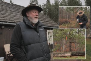 Tokios eglutės dar nematėte: V. Radzevičiaus fermoje sužibo išskirtinė žaliaskarė