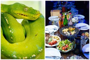 Kaip pasitikti Žaliosios Medinės Gyvatės metus: drabužiai, dekoras, patiekalai