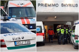 Varėnos rajone palaidas šuo įkando policijos pareigūnei