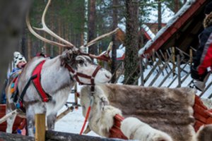 Siūlo įvesti ribojimus norintiems apsilankyti Laplandijoje: turizmas taip išaugo, kad tapo nebevaldomu