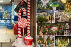 Tiesiog sukasi galva nuo gausybės grožybių: Kaunas šventes pasitinka išskirtinai pasipuošęs