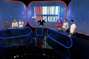 Švenčių karštligė: kiek iš tiesų kainuoja paruošti silkę su svogūnais?