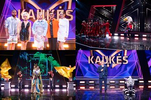 Šou „Kaukės“ to dar nėra buvę: dalyviai pateko į netikėtą reidą