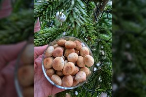 Patys skaniausi kūčiukai – minkštučiai, neįmanoma atsitraukti: išsikepkite daugiau, nes iki Kūčių neliks