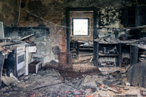 Savaitgalį liepsnos pasiglemžė žmogaus gyvybę