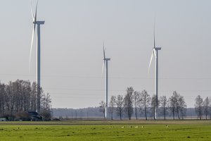 Metų pabaigoje vėjo elektrinių gamyba fiksuoja naujus rekordus: tokių dienų, kaip ši – reta