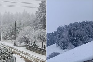Belieka tik pavydėti: Kūčių rytą dalis Lietuvos pasitiko su sniego paklode