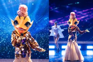 „Kaukėse“ – nauja dalyvė: ar po kostiumu slepiasi jos įspūdinga pramogų pasaulio žvaigždė?