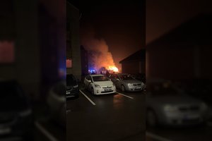 Netoli Druskininkų atvira liepsna degė namas, gaisravietėje rastas apdegęs kūnas