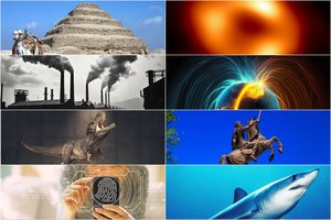 Kontroversiškiausios 2024 metų mokslo istorijos