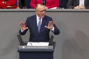 Gynybos ekspertė ragina F. Merzą pakeisti Vokietijos politiką Ukrainos atžvilgiu, jei bus išrinktas