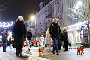 Lietuvių pasitikėjimui demokratija – rimtas smūgis: paaiškino, kas atsitiko