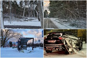 Vienas smarkiausių audros smūgių – Palangai: paplautos kopos, išversti medžiai, dalis gyventojų liko be elektros ir šildymo