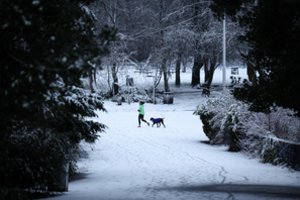 Smarkus snygis Anglijoje sukėlė oro eismo trikdžius