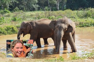 Tailando rezervate dramblys mirtinai sužalojo turistę iš Ispanijos