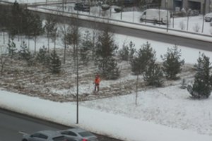 Vilnietis negalėjo patikėti, ką išvydo pro langą siaučiant pūgai