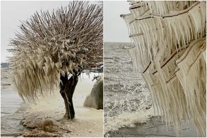 Nidoje – kerinčio grožio vaizdai: gamta vėl lipdė ledo skulptūras