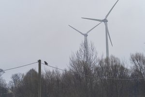 Vyriausybė peržiūri antrojo jūrinio vėjo parko konkurso sąlygas – neatmeta, kad jį teks stabdyti