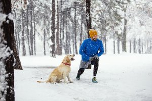 Ką svarbu žinoti prieš bėgiojimą su šunimi žiemą? Ekspertų patarimai