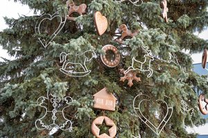 Belgijos maisto agentūra perspėjo: nevalgykite savo Kalėdų eglutės