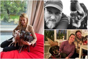 „Įgeidžių“ tenkinimas, arba, kodėl renkamės veislinius šunis?