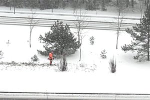 Interneto žvaigžde tapęs darbininkas sniegą šienavo ne šiaip sau – turi savo paaiškinimą, kodėl taip elgėsi