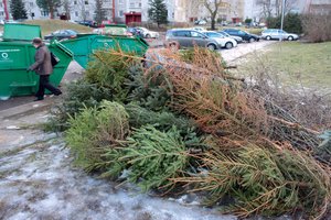 To dar nebuvo: iš nupuoštų kalėdinių eglučių miesto valdžia siūlė pasigaminti vieną patiekalą