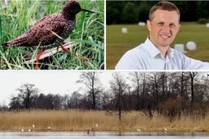 Žmonės kaime skatinami pagelbėti gamtai – paruošti buveines nykstantiems paukščiams bei augmenijai