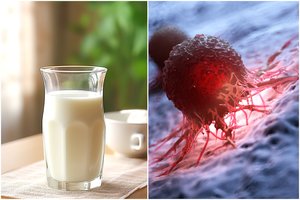 Karvės pienas ir vėžio rizika: tyrimas pateikė naujų duomenų