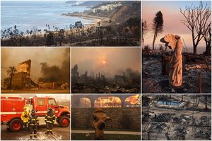 Los Andžele atsivėrus pragarui – kaltųjų paieškos: ekspertai aiškina, kas liepsnas padarė nevaldomas