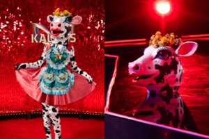 Po Karvės kauke – skandalinga įžymybė: „Galvoju, gal ir panaši aš į tą Karvę“