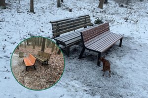 Vilnietis įpyko pamatęs, kad parke geri suoliukai keičiami naujais: kas gi taip sugalvojo?!