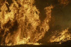 Košmaras Los Andžele tęsiasi: daugėjant aukų, grėsmingas perspėjimas – netrukus gali būti dar baisiau