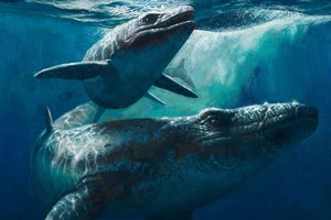 Paleontologinis skandalas: įtaria, kad priešistorinė jūrų pabaisa buvo padirbta