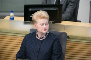 D. Grybauskaitė įvertino įtampas valdančiojoje koalicijoje: įgėlė socialdemokratams