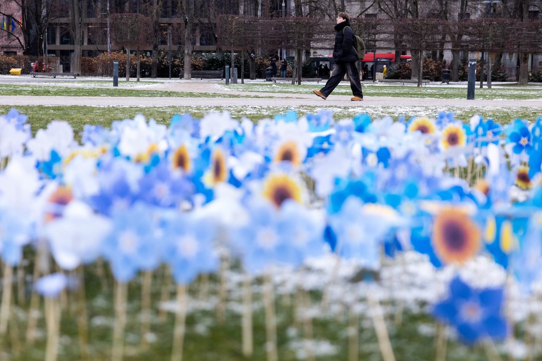 Neužmirštuolės Lukiškių aikštėje per Sausio 13-osios aukų pagerbimą.<br> T.Bauro nuotr.