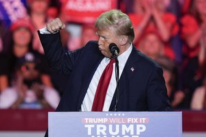 Ambasadorius išvertė D. Trumpo grasinimus į geopolitinę kalbą: turi vieną tikslą