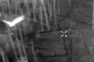 Ukrainą ginti stojo ir pelėdos: užpuolė rusų droną