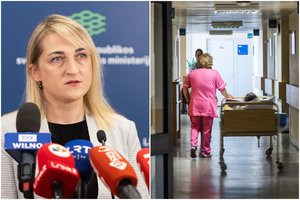 Prognozuoja, kad didės sergamumas mirčių pareikalavusiu virusu: tikėkimės, dramos nebus