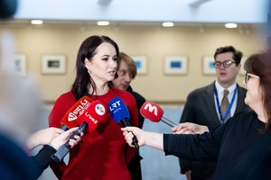 I. Ruginienė gesina aistras dėl Sausio 13-osios paskelbimo nedarbo diena: Gegužės 1-osios niekas nekeis