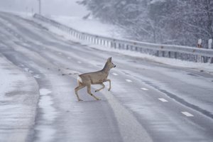 Perspėja vairuotojus: už tokį poelgį jums bus taikoma administracinė atsakomybė