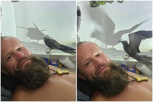 A. Mockus Ramiajame vandenyne sulaukė netikėtos draugijos: „Jei neparodyčiau – nepatikėtumėt“