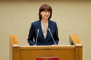 VRK pirmininkė: politinė reklama turės būti žymima nuolat – ne tik rinkiminės kampanijos metu
