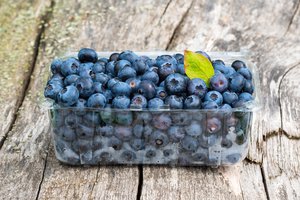 Įspėja, kad populiarias uogas gali sunaikinti visame pasaulyje sparčiai plintantis grybelis