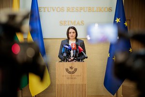 Baltarusijos opozicionieriams siekiant išduoti pasus su baltarusišku Vyčiu, keletas Seimo konservatorių kreipėsi į URM