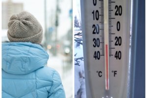 Vienmarškiniai amerikiečiai šokiravo lietuvę: tik vėliau suprato, kodėl net per šalčius visi vaikšto su šortais