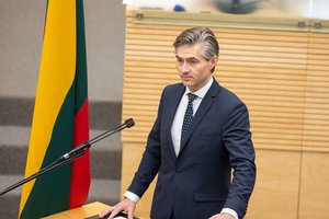 Baltijos šalių politikai nerimauja dėl JAV lustų eksporto ribojimo: bus dirbtinai padalinta ES rinka